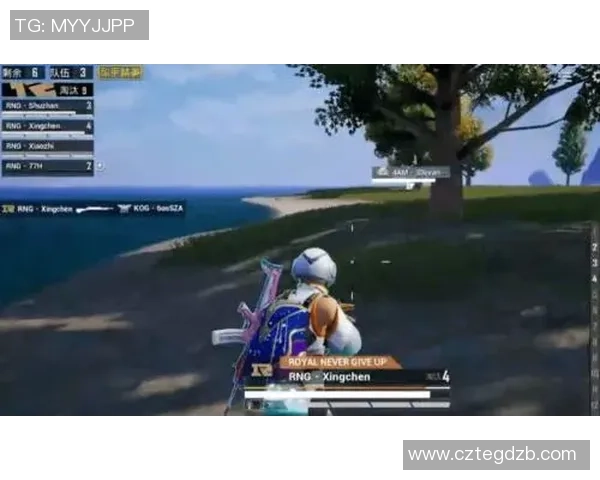 和平精英战术解析RNG战队的阵地战体系与策略运用探讨