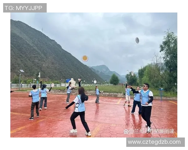 飞盘盛宴：深入了解深圳飞盘队的默契与协作精神